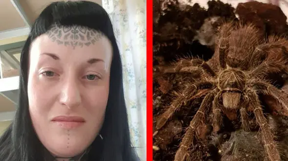 زندگی وحشتناک این زن با رتیل ها سوژه رسانه ها شد + فیلم