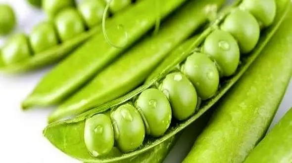 بینایی تان را با نخود سبز چند برابر کنید