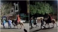 داماد تنها در خیابان های سوت و کور هندوستان ! + فیلم