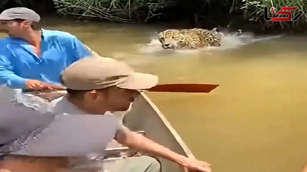 فیلم حیات وحش /  پلنگ خوشگذرونی 3 مرد رو به عزا تبدیل کرد