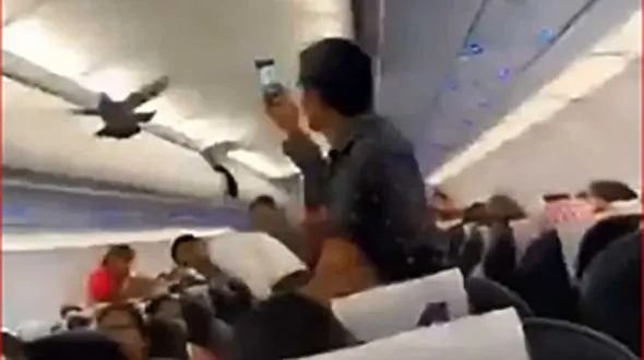 دردسر در پرواز احمدآباد به خاطر 2 کبوتر + فیلم