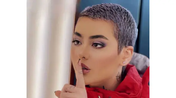 اظهارات سعید سهیلی درباره خانم بازیگر گشت ارشاد