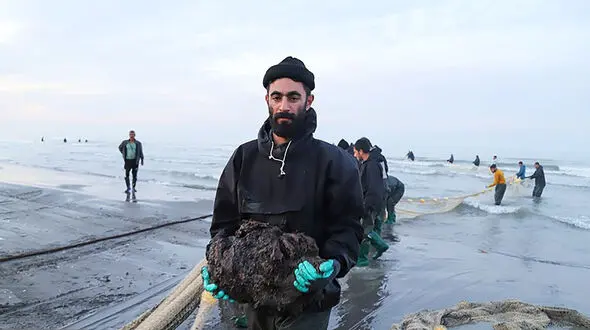 این ماهی گیران درخت صید می کنند! + عکس های عجیب و غریب
