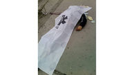 عکس جنازه جوان تهرانی وسط خیابان / صبح امروز رخ داد