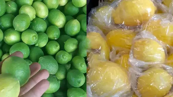 لیمو شیرازی با لیمو سنگی چه فرقی دارد؟