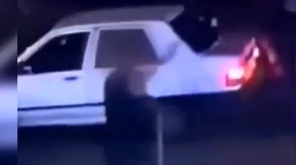 شرور خطرناک دستگیر شد/ تعقیب تا تالش+ فیلم شرارت 