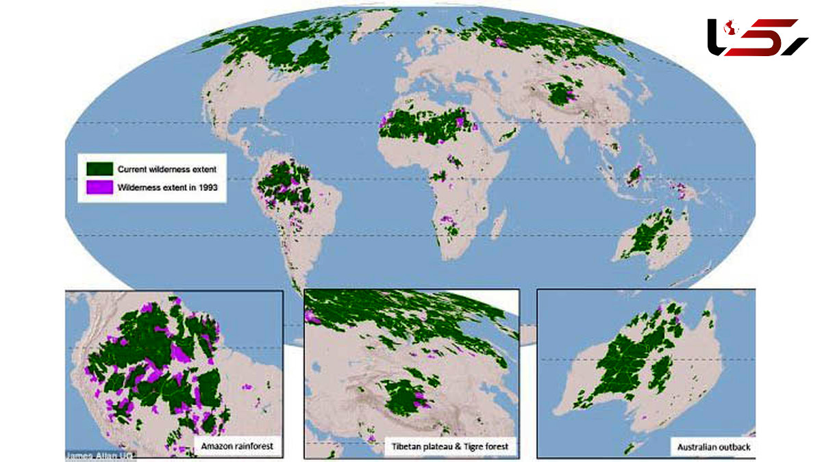 10 درصد از طبیعت کره زمین تحلیل رفته است