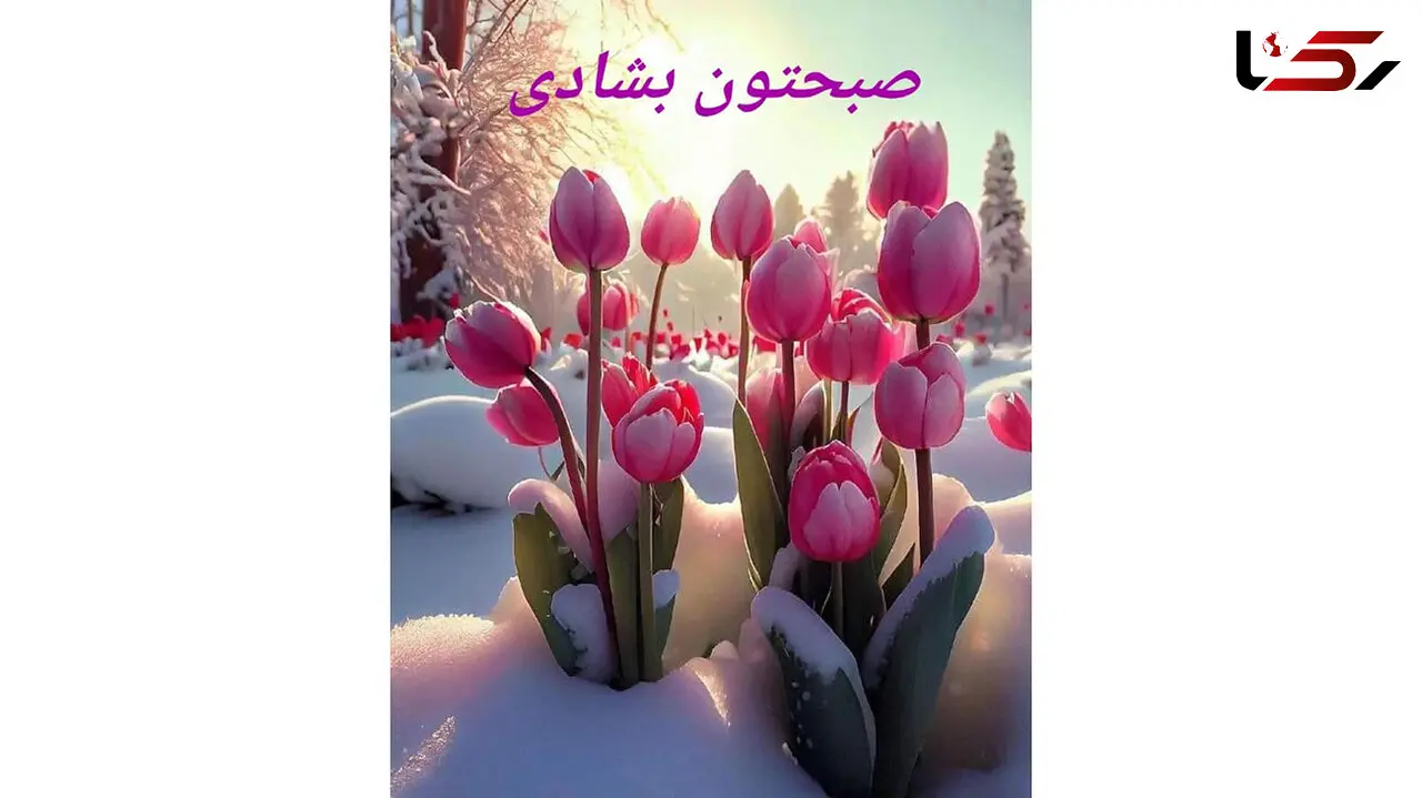 فال روزانه شخصی / 26 اسفند ماه + فیلم
