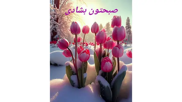 فال روزانه شخصی / 26 اسفند ماه + فیلم