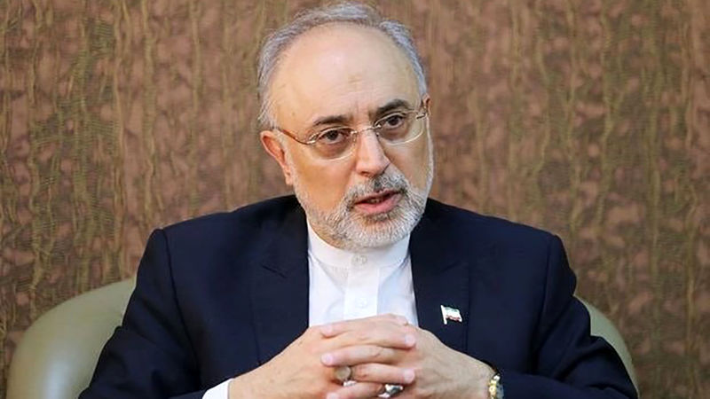 علی اکبر صالحی ، رئیس پیشین سازمان انرژی اتمی ایران