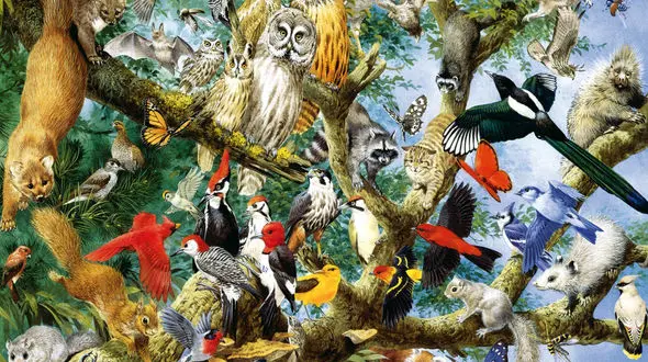 عکس های بی نظیر از دنیای حیوانات 