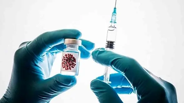 قربانی کردن کوسه ها برای واکسن کرونا