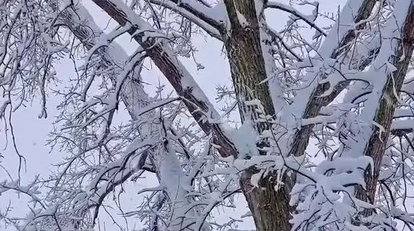 دمای هوای اردبیل به ۱۳ درجه سانتیگراد زیر صفر رسید