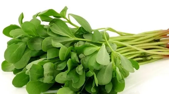 دستور غذایی اعجاب انگیز برای کنترل دیابت