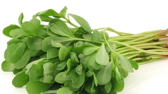 دستور غذایی اعجاب انگیز برای کنترل دیابت