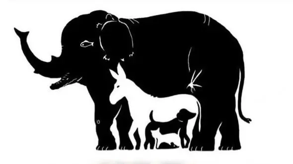 تست/ هوش خود را با دیدن این تصویر به چالش بکشید ! 