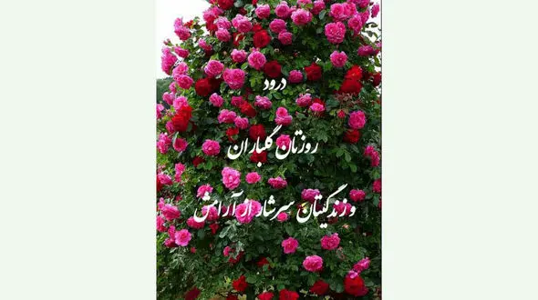 فال ابجد امروز / 14 آذر ماه + فیلم 