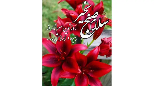 فال و طالع بینی روزانه 18 آبان + فیلم