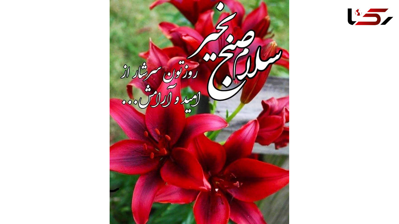 فال و طالع بینی روزانه 18 آبان + فیلم