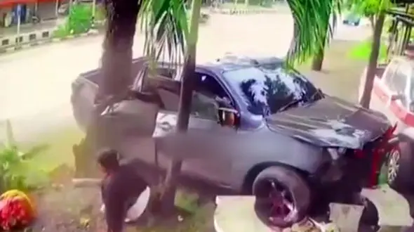 فیلم فرو رفتن درخت داخل خودرو وسط اتوبان 