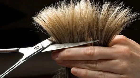 چرا دچار موخوره می شویم؟