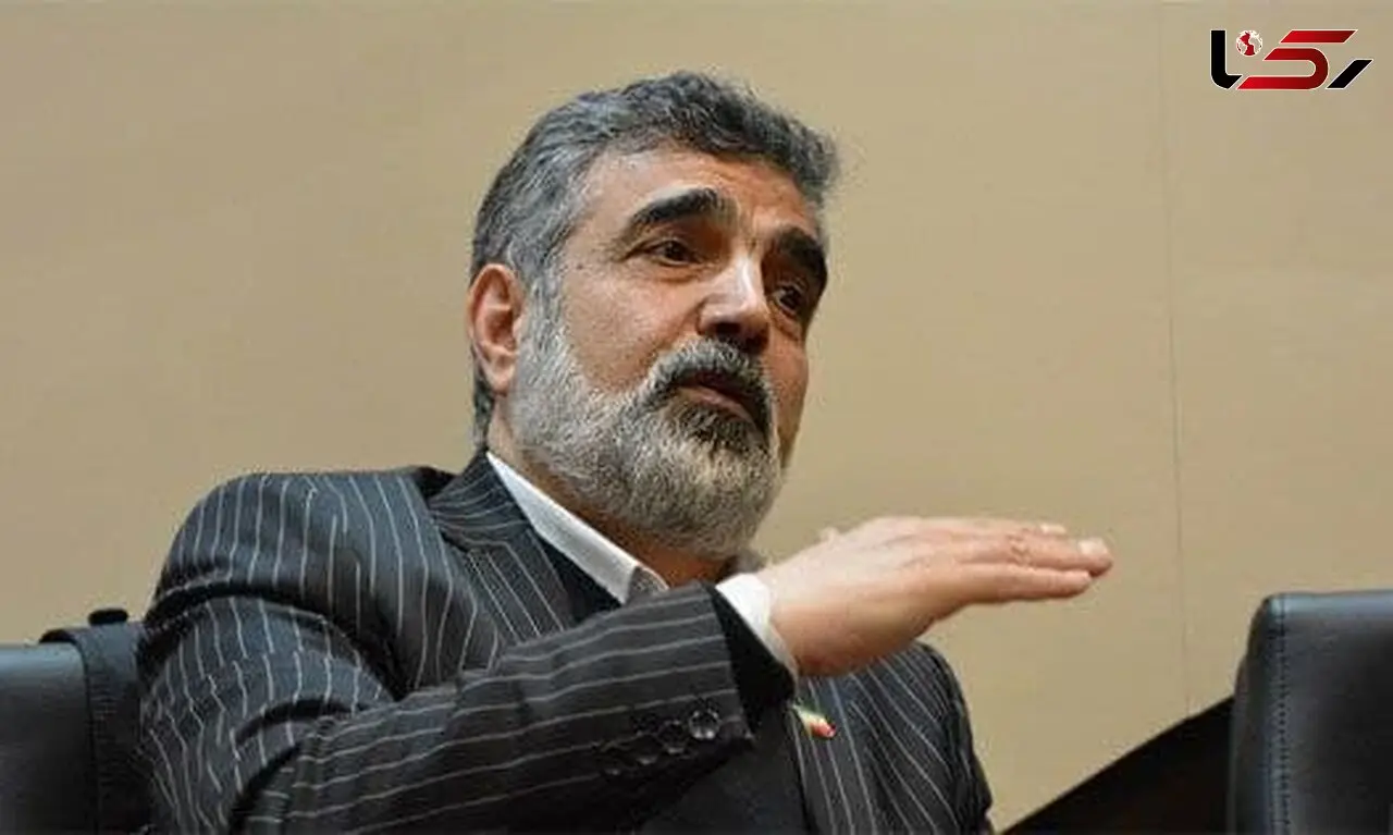 سخنگوی سازمان انرژی اتمی دچار حادثه شد