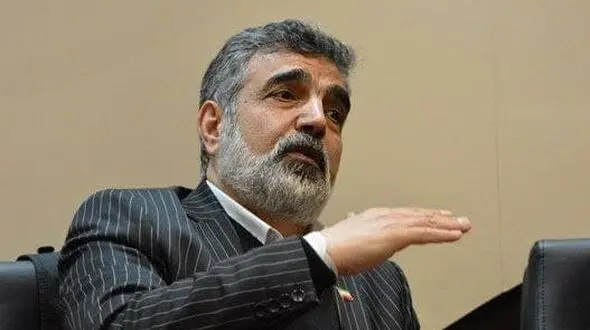 سخنگوی سازمان انرژی اتمی دچار حادثه شد