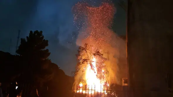 آتش گرفتن یک درخت تنومند با بالن آرزوها در تهران/ شعله های آتش به اندازه یک برج بود + فیلم و عکس