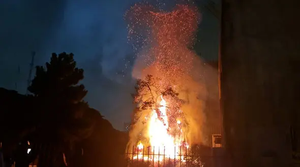 آتش گرفتن یک درخت تنومند با بالن آرزوها در تهران/ شعله های آتش به اندازه یک برج بود + فیلم و عکس