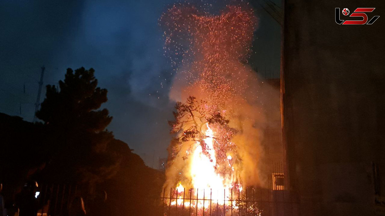 آتش گرفتن یک درخت تنومند با بالن آرزوها در تهران/ شعله های آتش به اندازه یک برج بود + فیلم و عکس