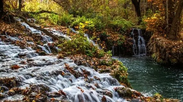 پارک ملی تندوره؛ منطقه حفاظت شده حیات وحش ایران