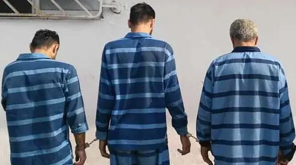 دستگیری 5 سارق حرفه ای در ماکو