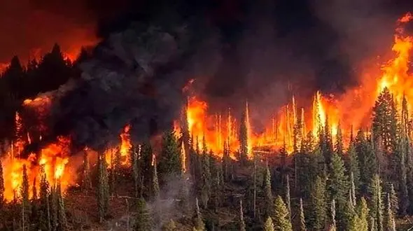 آتش در تالاب انزلی دوباره شعله ور شد / مدیرکل مدیریت بحران: منتظر آمدن هواپیمای ایلیوشین هستیم