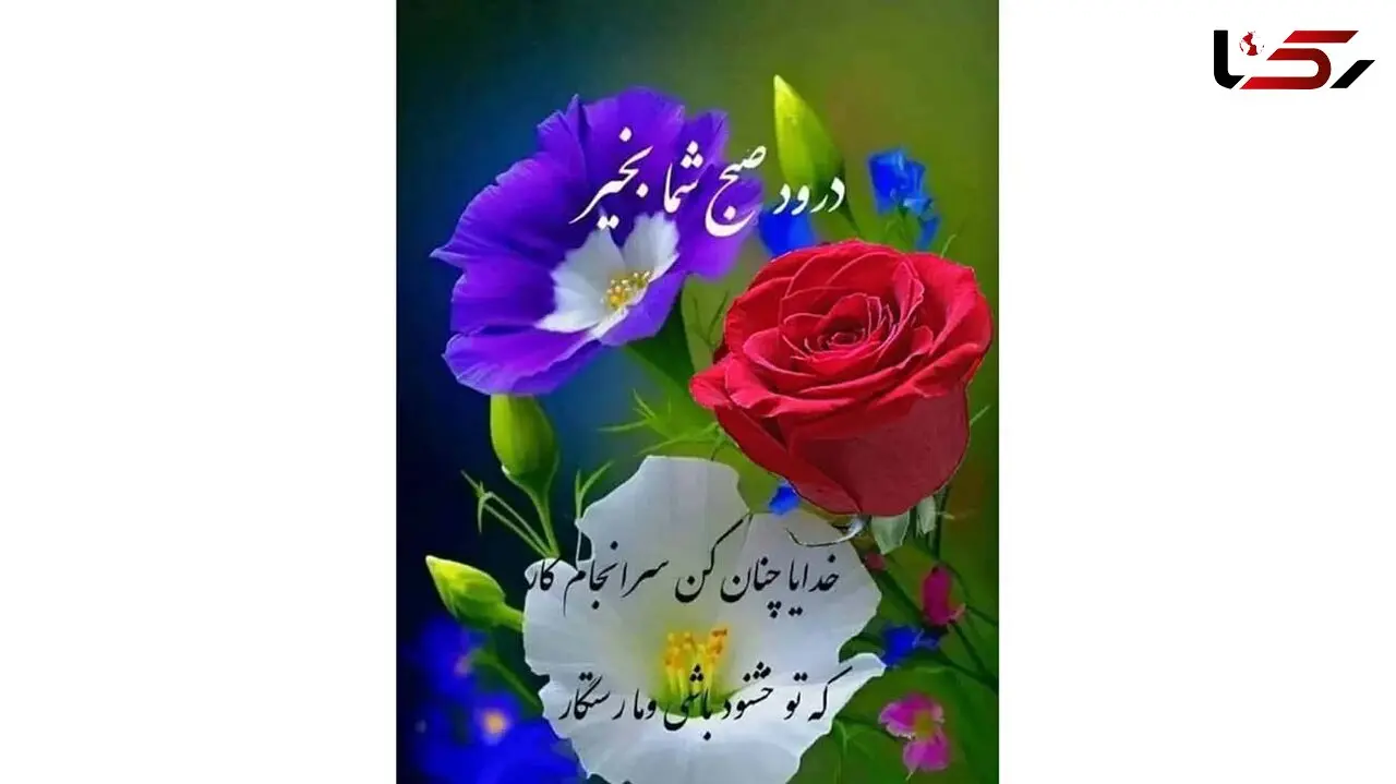 فال ابجد امروز 7 آذر ماه + فیلم
