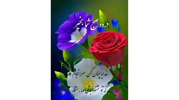 فال ابجد امروز 7 آذر ماه + فیلم