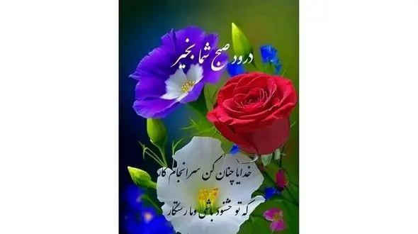 فال ابجد امروز 7 آذر ماه + فیلم