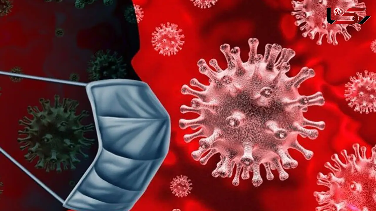 تخریب هتل‌ها در نیجریه به خاطر نقض قوانین قرنطینه کرونایی+فیلم