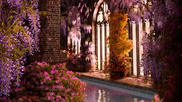 روزتان پر از حس آرامش 