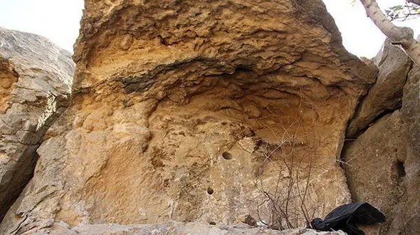 قاچاقچیان لانه طاوس مرودشت را تخریب کردند + عکس