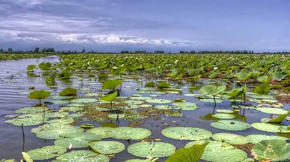 فاجعه زیست‌ محیطی: 43 درصد تالاب‌های ایران کانون گرد و غبار شده‌اند!