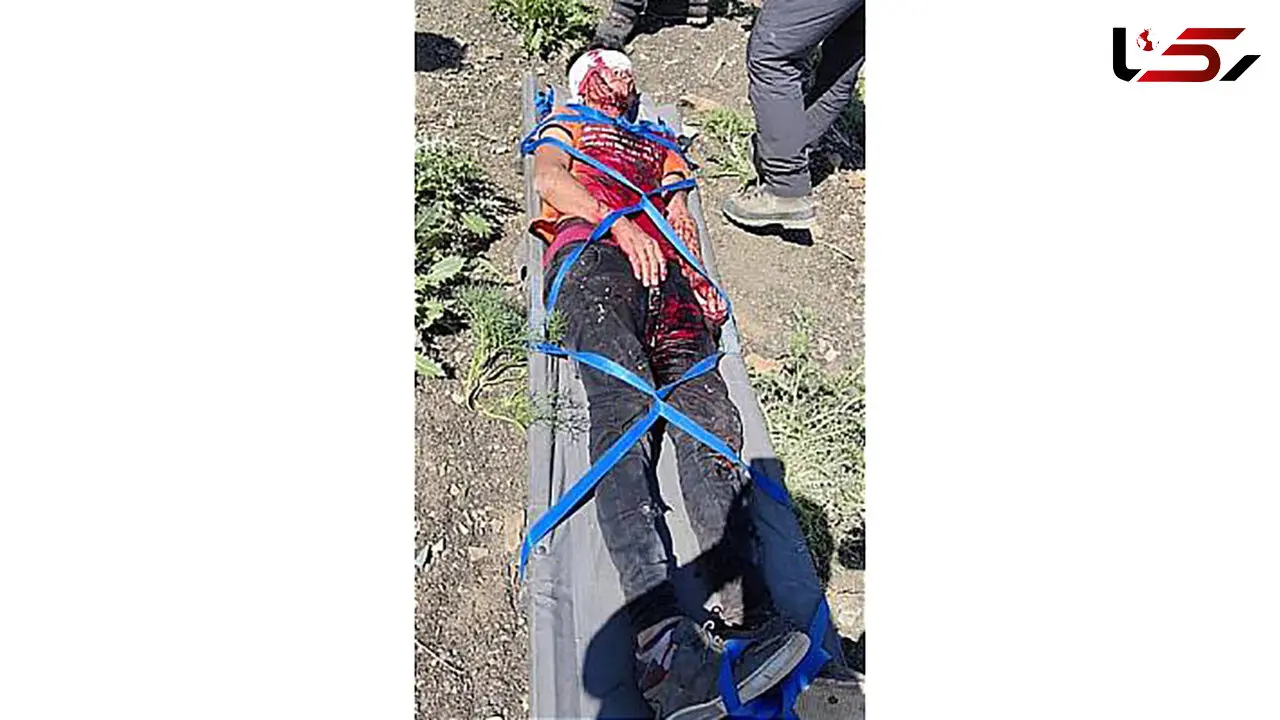 سلفی این مرد در توچال او را خشک کرد + عکس جنازه
