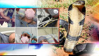 British man who survived Covid-19, dengue, malaria, gets bit by cobra in Jodhpur