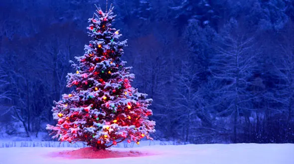 واکنش چهره های معروف ایرانی و خارجی به کریسمس +تصاویر 