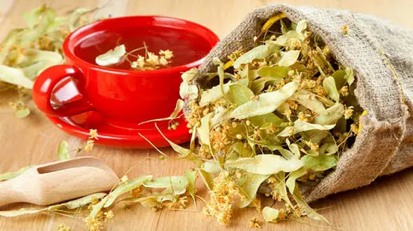 با این دمنوش ها لطافت بیشتری در پوست تان احساس کنید