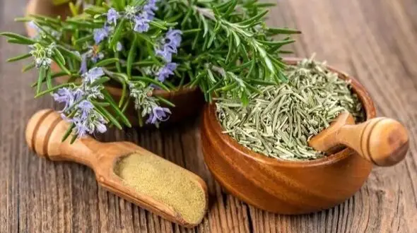راز گیاه اینستاگرامی برای از بین بردن جای زخم فاش شد!