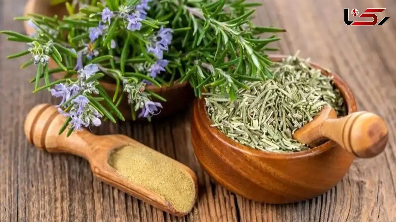 راز گیاه اینستاگرامی برای از بین بردن جای زخم فاش شد!