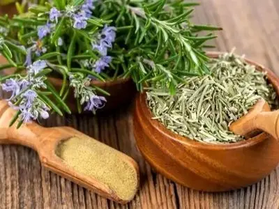 راز گیاه اینستاگرامی برای از بین بردن جای زخم فاش شد!