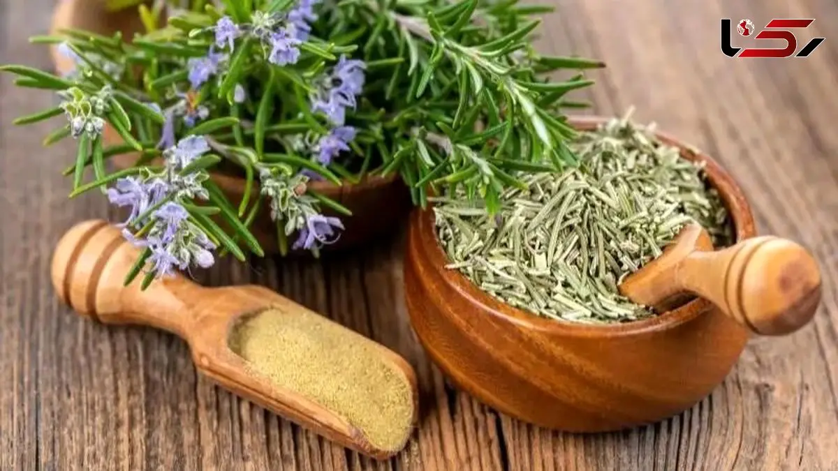 راز گیاه اینستاگرامی برای از بین بردن جای زخم فاش شد!