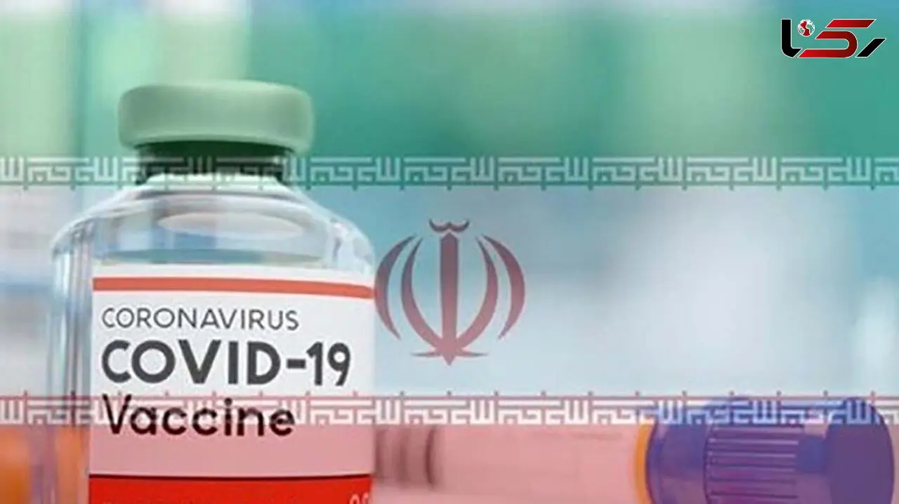 اولین گروه دارای اولویت دریافت واکسن کرونا 