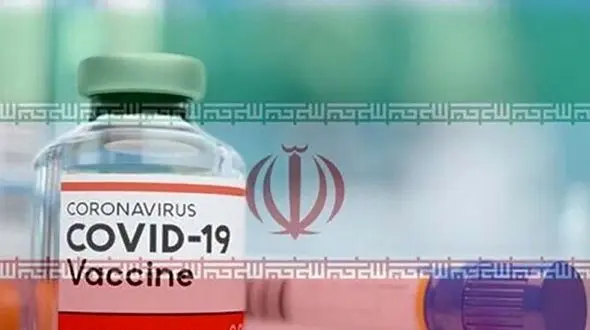 اولین گروه دارای اولویت دریافت واکسن کرونا 